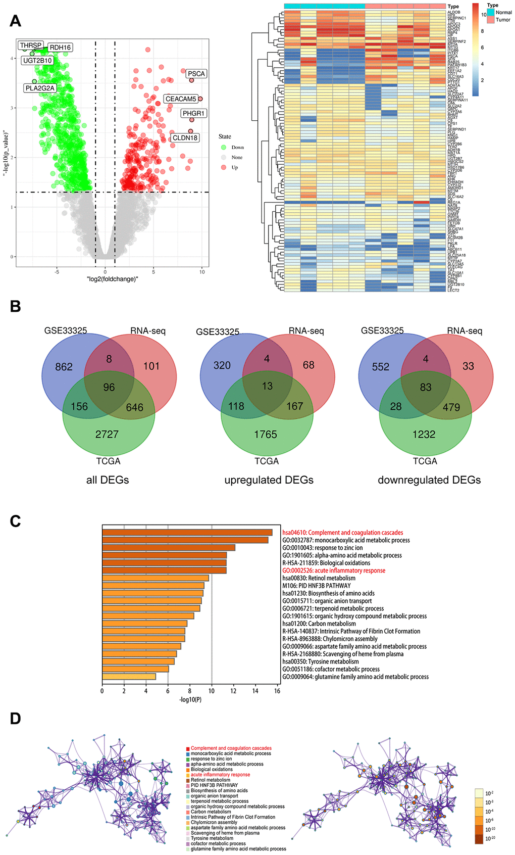 Identify the differentially expressed genes (DEGs) of three datasets, and the pathway and process enrichment analysis of overlapped DEGs between CCA and precancerous tissues. (A) Volcano plot and heatmap of 5 pairs matched CCA and precancerous tissues from our own RNA high-through sequencing data; (B) Venn diagram for overlapped DEGs of TCGA, GSE32225 and our own RNA high-through sequencing three datasets; (C) The top 20 reliable enrichment items of overlapped DEGs sort by -log10(P); (D) Network of the top 20 items and the p value of these items, each node with different color is an enriched item, the size of the node represents the degree of enrichment. And the p-value are ranked by the shades of color.