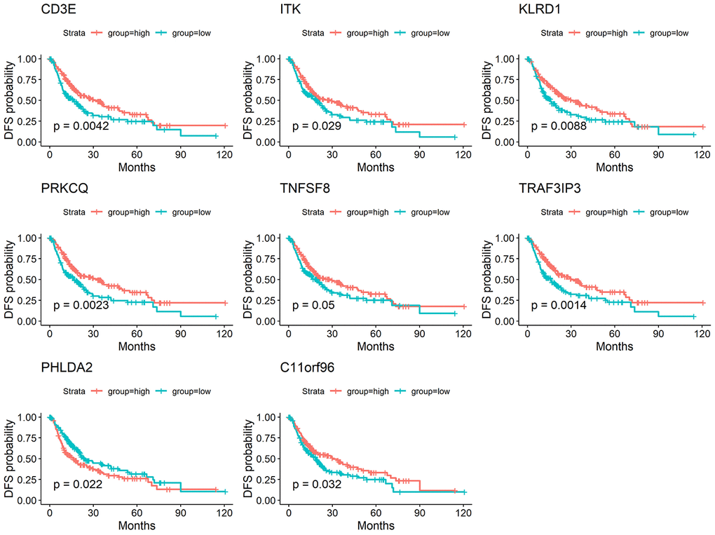Correlation of expression of individual DEGs in disease-free survival in TCGA. Kaplan-Meier survival curves were generated for selected DEGs extracted from the comparison of groups of high (red line) and low (blue line) gene expression. p