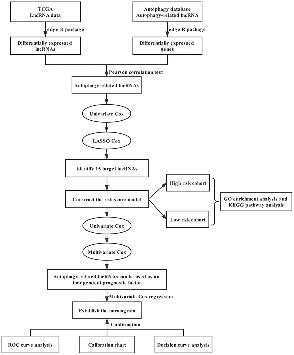 Flowchart showing the creation and evaluation of the prognostic model.