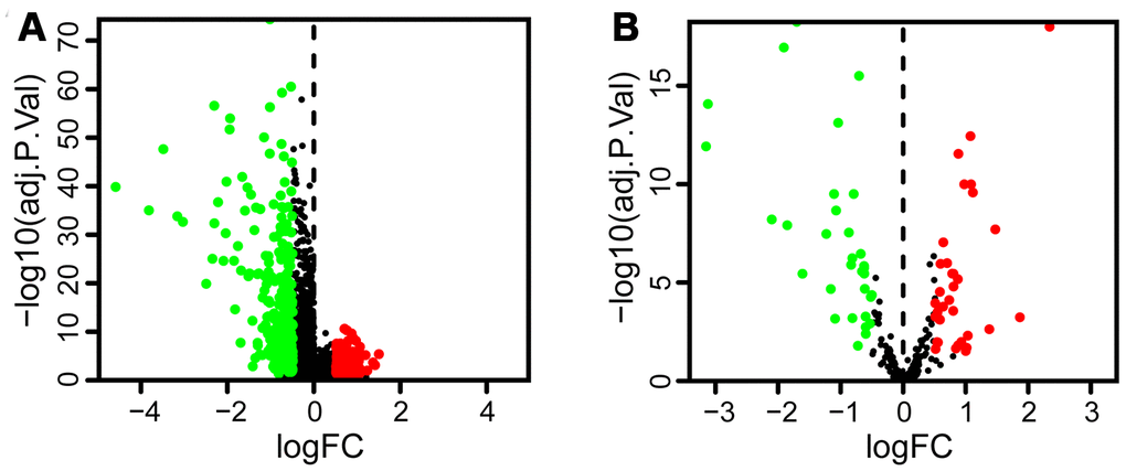 The volcano plot shows the differential expression of lncRNAs and autophagy-related genes in bladder tumor compared to paracancerous tissues. Red dots and green dots represent significantly upregulated and downregulated lncRNAs and autophagy genes, respectively, whereas black dots indicate no difference. (A) The volcano plot demonstrates that 161 lncRNAs were upregulated and 293 were downregulated in bladder tumor. (B) The volcano plot shows that 34 autophagy-related genes were upregulated and 32 were downregulated in bladder tumor.