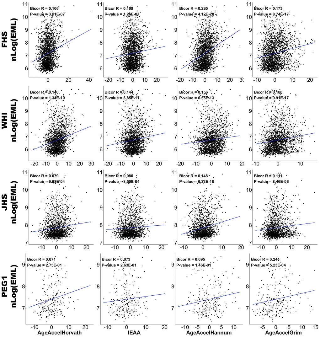 Correlations between EML and epigenetic age accelerations. Scatter plots of DNAm age acceleration estimators (x-axis; AgeAccelHorvath, IEAA, AgeAccelHannum, and AgeAccelGrim in each column, respectively) versus natural log-transformed EMLs (y-axis). Data from FHS, WHI, JHS, and PEG1 are plotted in four rows respectively. Each panel reports a biweight midcorrelation coefficient and correlation test p-value.
