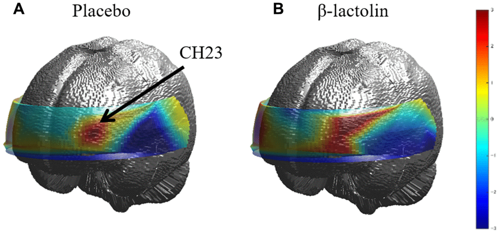 Topographic images of oxy-Hb during spatial working memory. (A and B) The topographic maps during the spatial working memory task for oxy-Hb reveal the distribution of rCBF at week 6 of the intervention for both groups (placebo and β-lactolin, respectively). Hb, hemoglobin; rCBF, regional cerebral blood flow.