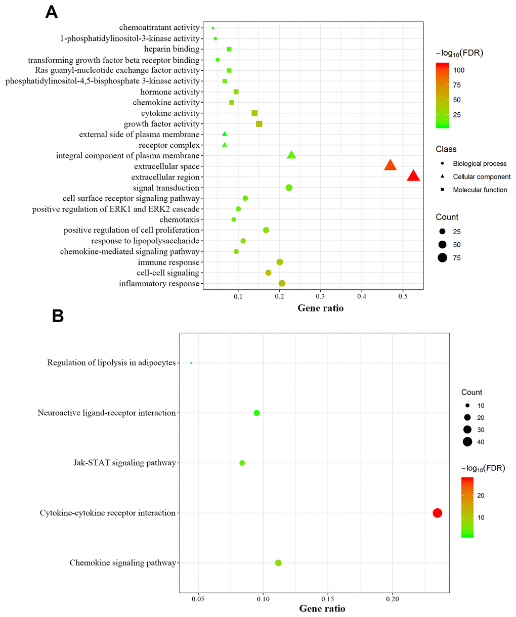 Functional annotation of differentially expressed immunity-related genes. (A) Enriched Gene Ontology terms including biological process (dots), cellular component (triangles) and molecular function (squares). (B) Enriched KEGG pathways.