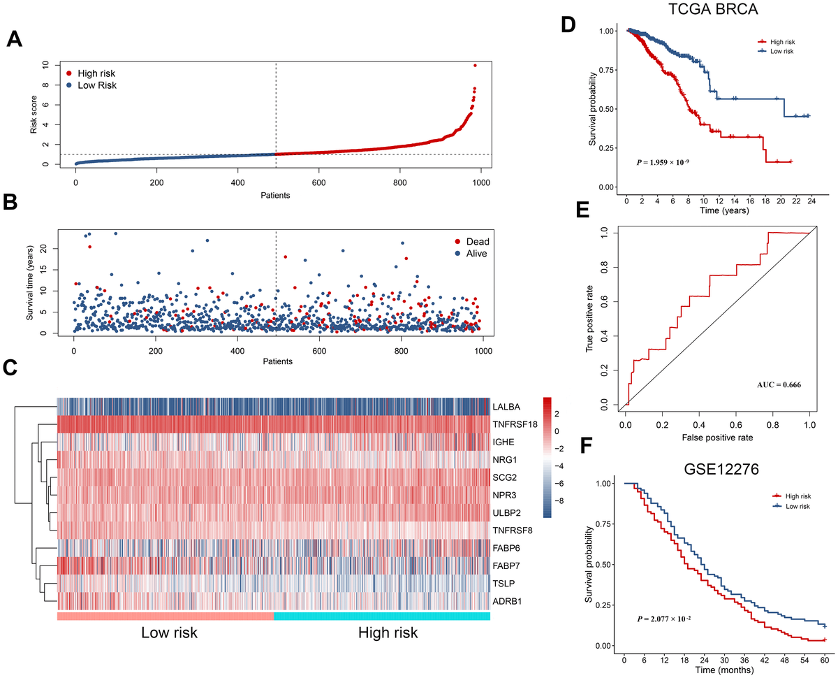 Construction And Validation Of An Immunity-related Prognostic Signature ...