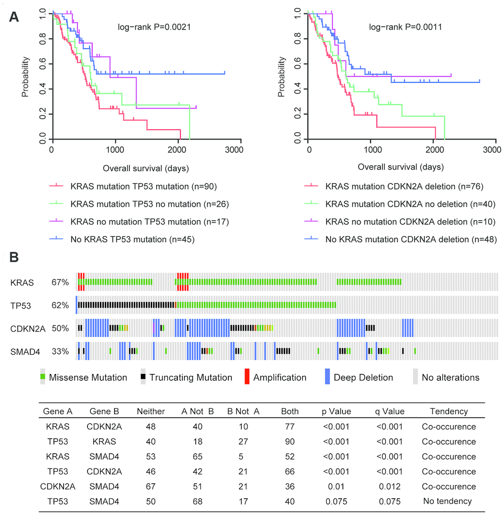 Coordination and co-occurrence of the genomic alterations in patients with pancreatic cancer. (A) Kaplan-Meier plots demonstrated the different overall survival of pancreatic cancer patients with different genomic alterations. P values were generated from Log-rank test. (B) Oncoprint demonstrated the co-occurrence of KRAS, TP53, CDKN2A and SMAD4 alterations in patients with pancreatic cancer derived from TCGA PAAD datasets. Each line represented one patient.