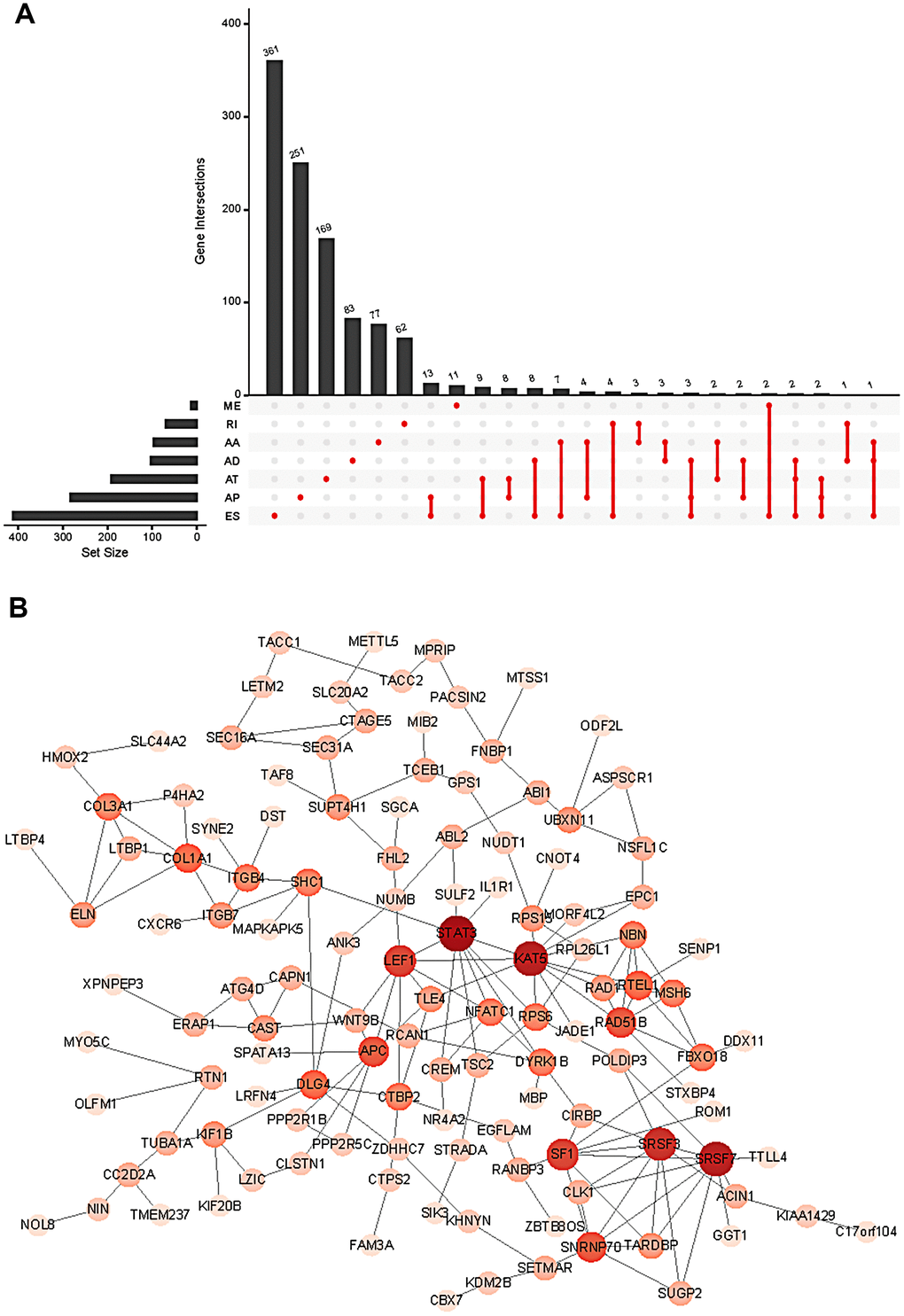 Summary (A) and protein network (B) of survival-associated AS events in the GC cohort.