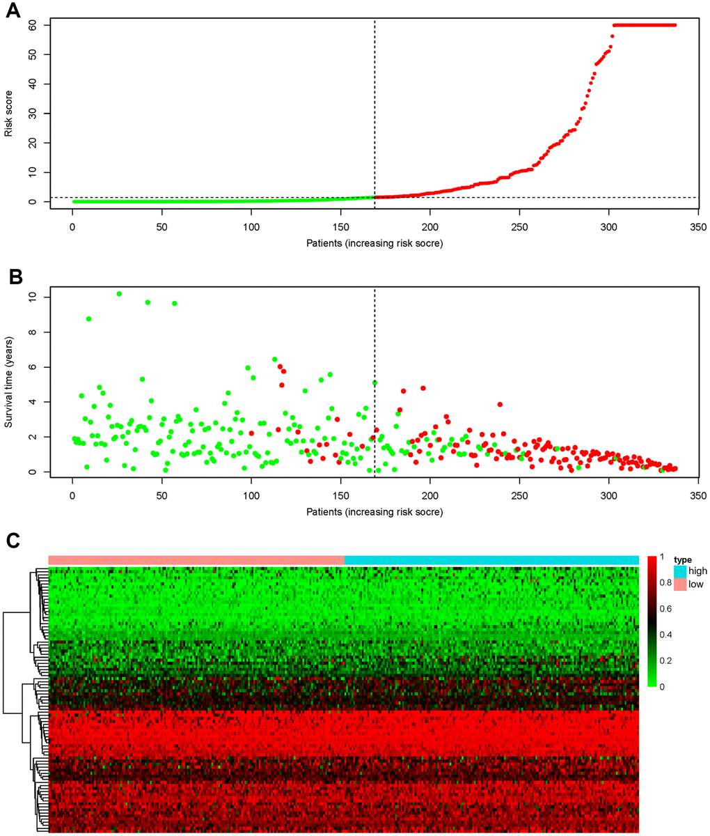 Recognition capability of the final prognostic signature for GC patients into low- and high-risk groups. (A) The risk scores of 337 patients. Green/red dots represent low/high risk groups that are distinguished using the dotted lines. (B) Overall survival status and survival duration of GC patients. Dotted lines were used to distinguish patients in the high- and low-risk groups. Green dots represent surviving patients, while red dots indicate dead patients. (C) Heatmap of PSI values of AS events for building the final prognostic signature.