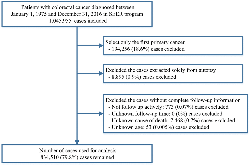 Flow chart of case inclusion and exclusion criteria in this study.