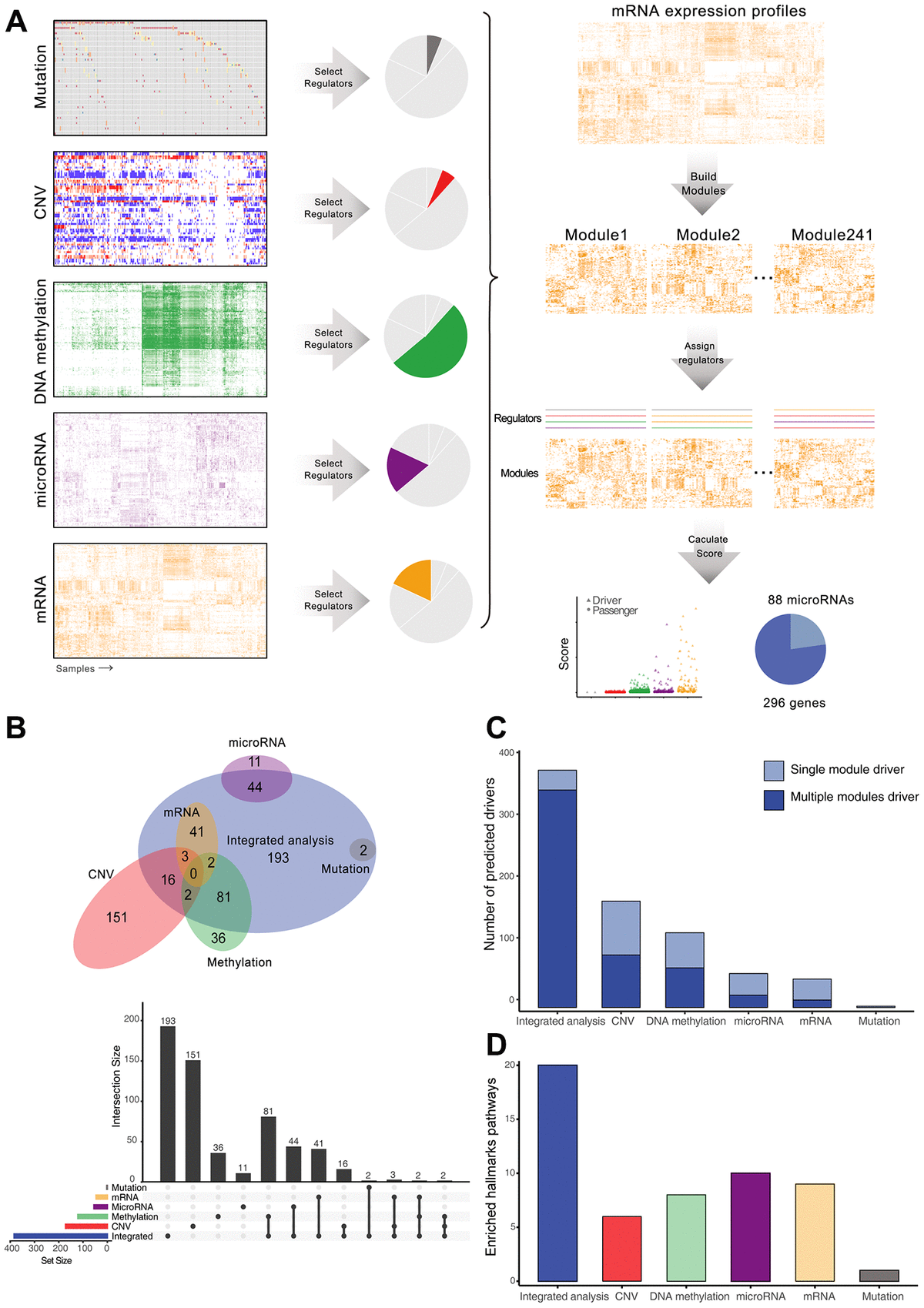 Integrative Analysis Reveals Novel Driver Genes And Molecular