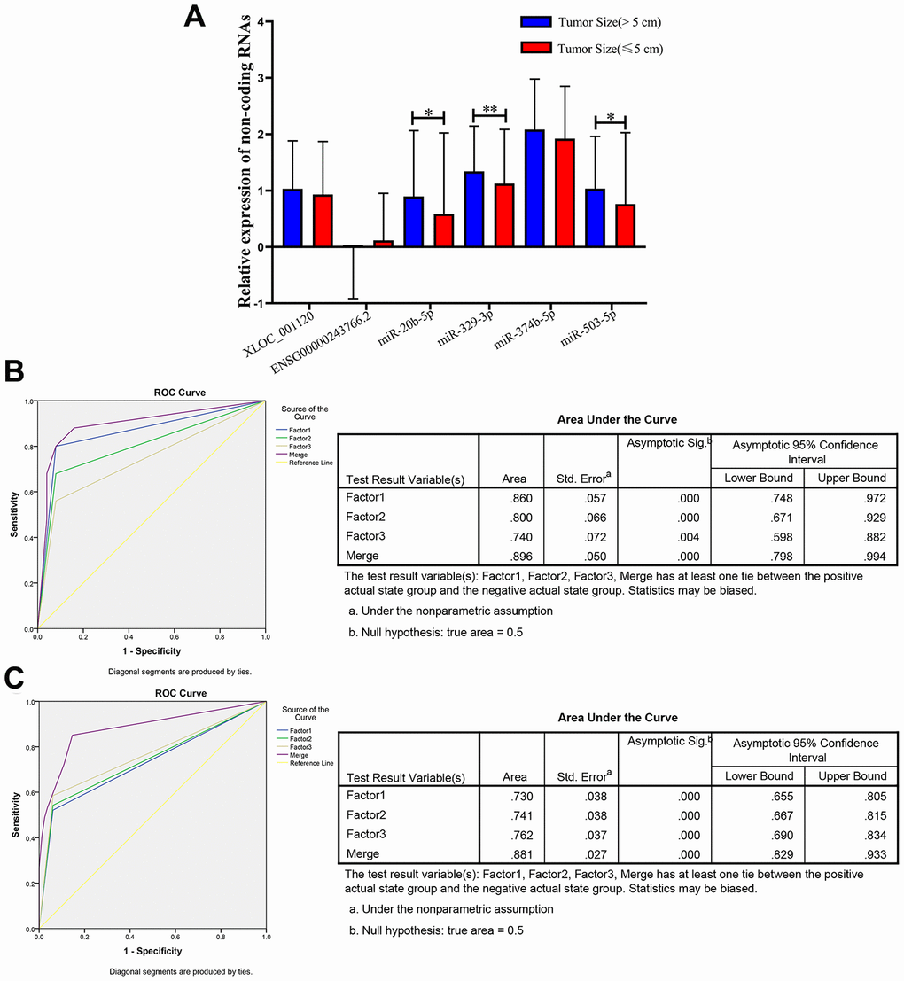 Relative expression of 6 non-coding RNAs in different tumor size of CRC, ROC curve analysis for predicting 3 microRNAs as a CRC tumor size biomarker. (A) qRT-PCR analysis was used to detect the expression of XLOC