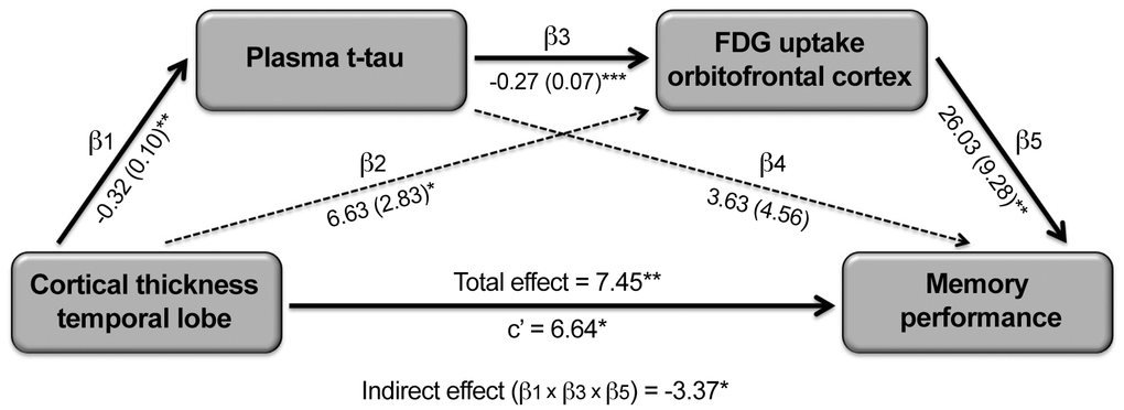 Serial mediating role of plasma t-tau and cortical FDG uptake on the relationship between cortical thinning and memory deficits in aging. Path analysis showing the serial mediation of higher plasma t-tau and lower FDG uptake in the orbitofronal cortex on the relationship between cortical thinning in the temporal lobe and memory deficits. Numbers along paths are unstandardized regression coefficients with the standard deviation in parenthesis. Asterisks indicate that the direct path as well as the total and indirect effect were statistically significant (*p 