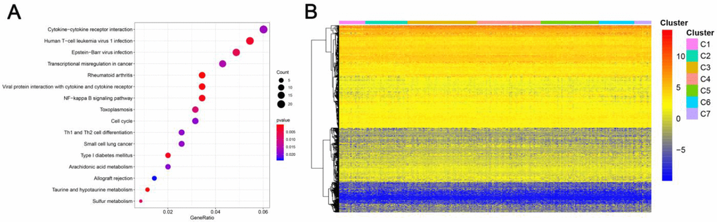 Gene annotations of 774 methylated sites. (A) KEGG function enrichment analysis of annotated genes. The graph's horizontal axis shows the gene radio and the vertical axis shows different gene functions. The dot size is proportional to gene count and p value is indicated by color. (B) Cluster analysis heat map for annotated genes associated with the CpG sites.
