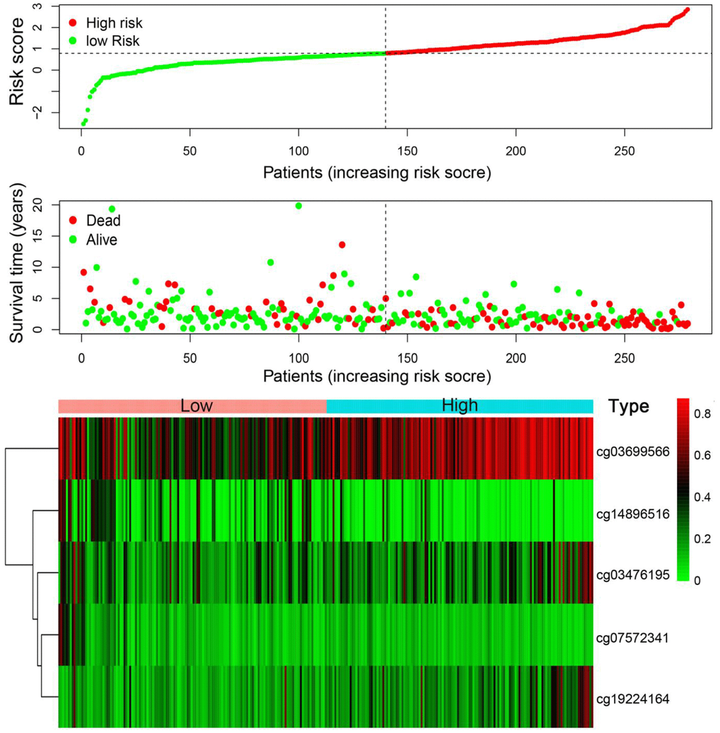 Risk score analysis of the training set. The five DNA methylation signature risk score distribution. Heat-map of the DNA methylation profiles. Rows represent CpG sites, and columns represent patients.