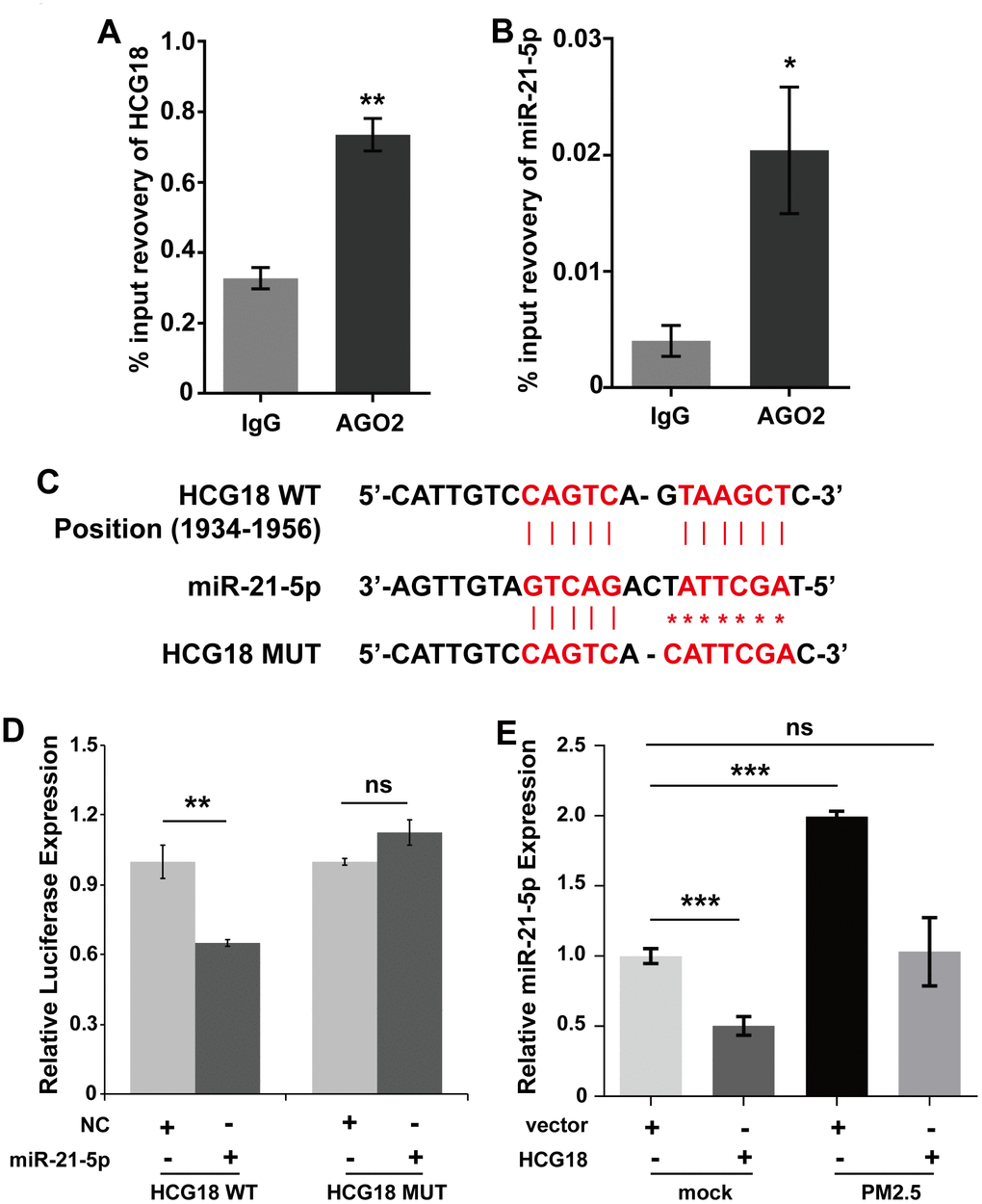 LncRNA HCG18 acts as a ceRNA for miR-21-5p. (A) HCG18 was enriched in AGO2 RIP samples. (B). MiR-21-5p was enriched in AGO2 RIP samples. (C) The binding relationship between HCG18 and miR-21-5p was predicted by DIANA. (D) The binding relationship between HCG18 and miR-21-5p was determined by Dual-luciferase reporter assay. (E) The interaction between HCG18 and miR-21-5p in PM2.5-treated HUVECs was analyzed by qRT-PCR. *: PPP