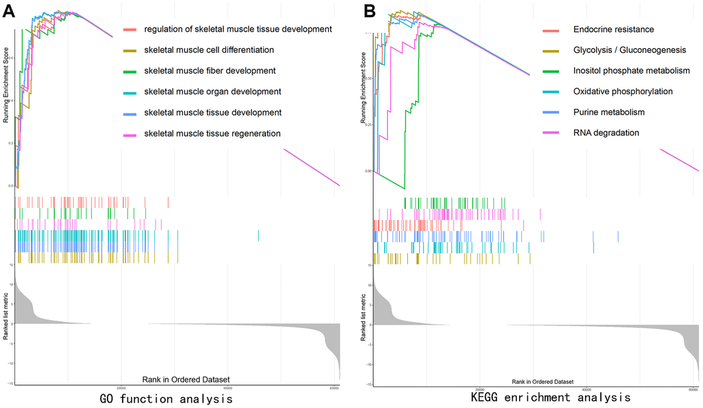 Gene set enrichment analysis (GSEA) showing the biological pathways and processes associated with SEPP1. Significant correlations between the high and low SEPP1 expression groups. (A) GO enrichment analysis; (B) KEGG enrichment analysis.