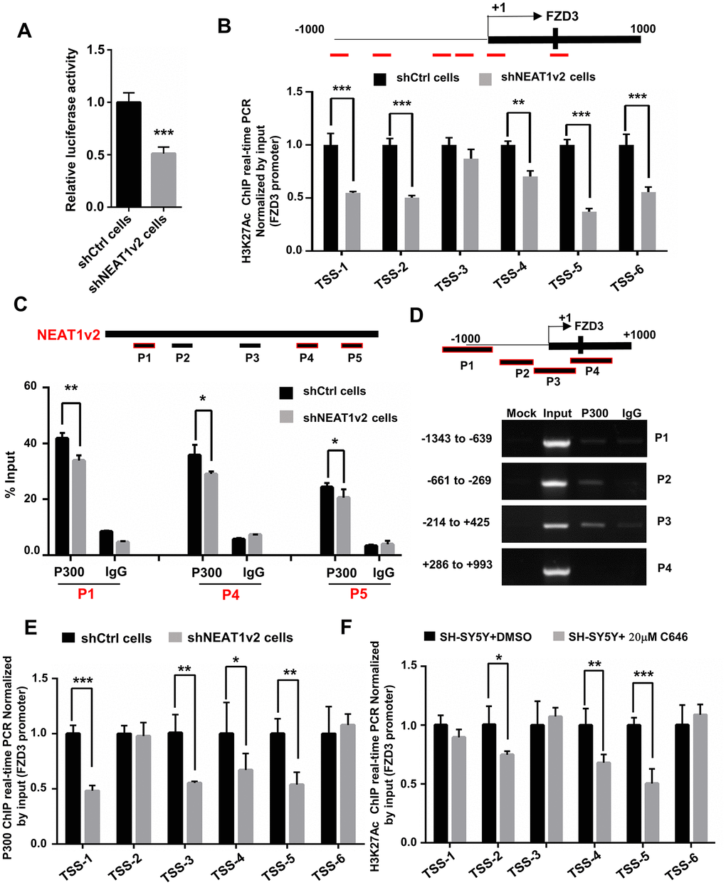 NEAT1 regulates microtubule stabilization via FZD3/GSK3β/P-tau pathway in SH-SY5Y cells and APP/PS1 mice