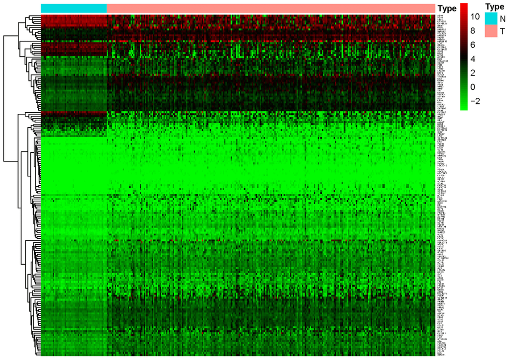 Heat map of differentially expressed genes in the training set. A total of 147 upregulated and 26 downregulated metabolic genes were identified in the tumor dataset compared to the normal dataset, using | logFC |> 1.5, P-value 
