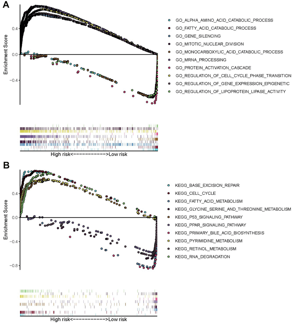 GO and KEGG enrichment analyses via GSEA of the training set. (A) Top five GO terms in high- and low-risk patients. (B) Five representative metabolism-associated KEGG pathways in high- and low-risk patients. The curves above the abscissa represent GO terms and KEGG pathways enriched by genes in high-risk patients.