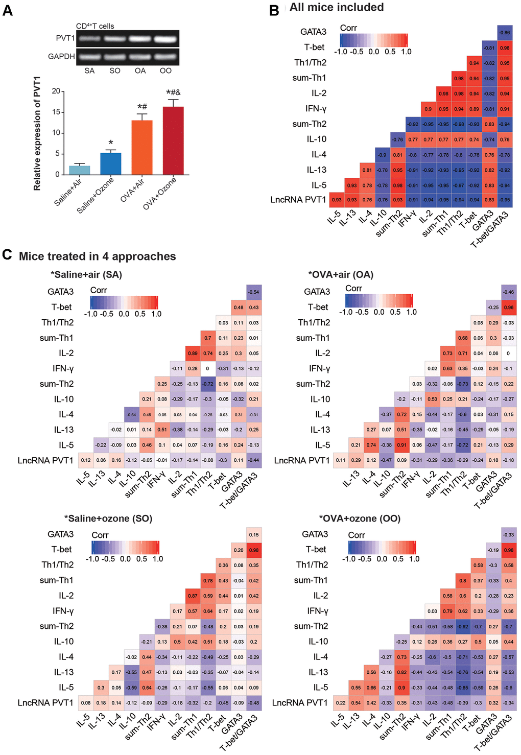 Linkage of lncRNA PVT1 expression with Th1/Th2 balance of asthmatic mice. (A) PVT1 expression was monitored within CD4+ T cells that were obtained from mice models of saline+air (SA), saline+ozone (SO), OVA+air (OA) and OVA+ozone (OO) groups. *: PPPB, C) Correlation matrixes were established concerning PVT1 expression and Th1/Th2-specific cytokines in all asthmatic mice (B) and in asthmatic mice managed through 4 approaches (C).
