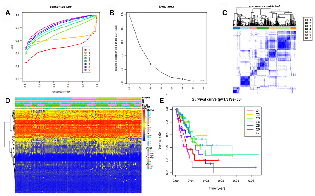 DNA methylation-based lung adenocarcinoma subtypes can predict 