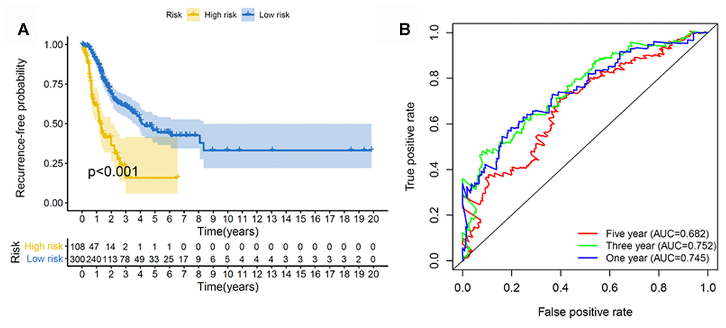 Construction of the recurrence methylation model for patients with LUAD. (A) Kaplan-Meier curves of the recurrence model of patients in the high- and low-risk groups. (B) Accuracy of the prognostic model in predicting recurrence rate by time-dependent ROC curve analysis. LUAD, lung adenocarcinoma; ROC, receiver operating characteristic.