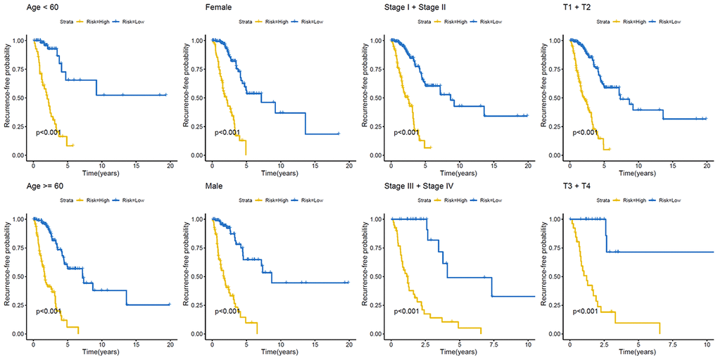 Kaplan–Meier analysis of recurrence-free survival of patients with LUAD. Patients were classified according to age (age 