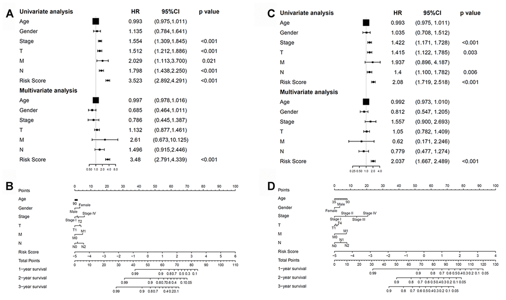Correlations between the methylation model and clinical characteristics. (A) The prognostic model. (B) Nomogram for predicting the probability of 1-, 3-, and 5-year overall survival of patients with LUAD. (C) The recurrent model. (D) Nomogram for predicting the probability of 1-, 3-, and 5-year disease-free survival of patients with LUAD. LUAD, lung adenocarcinoma.
