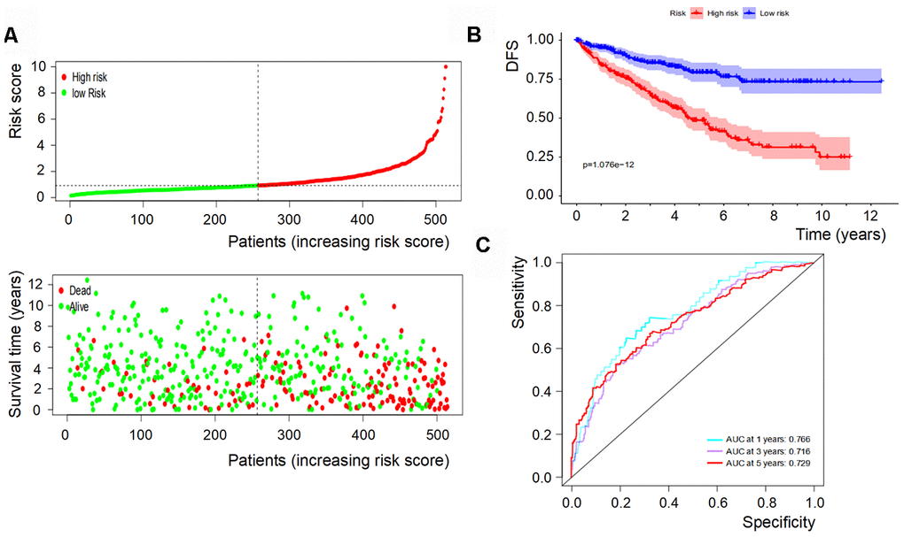 OS of the signature with multiple genes in RCC. (A) Patients were classified by risk score and their survival status; (B) OS of the signature of multiple genes in this model, which indicated that patients in the low-risk group had a more favorable OS than those in the high-risk group. (C) ROC curves suggested that the accuracy of this model was 76.6%, 71.6% and 72.9% at 1, 3 and 5 years, respectively.