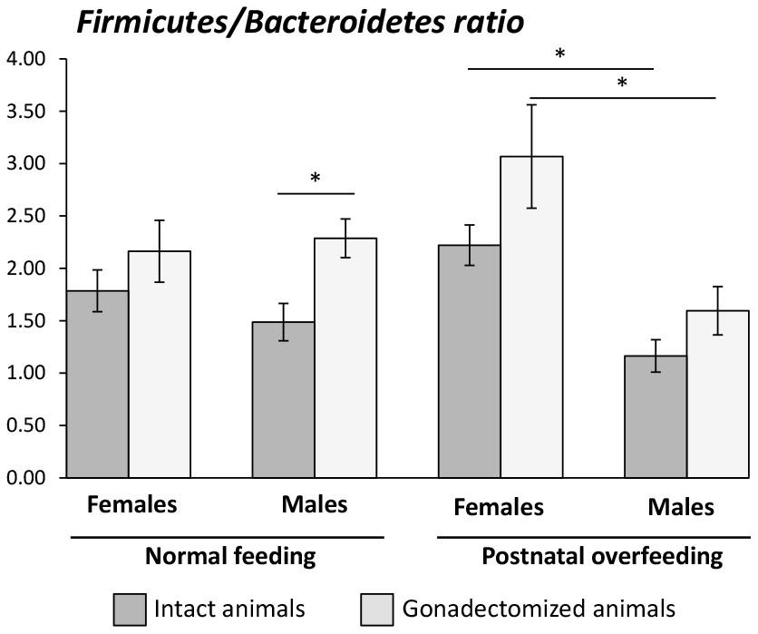 Firmicutes/Bacteroidetes ratio in intact and gonadectomized animals under normal feeding and overfeeding conditions.*P