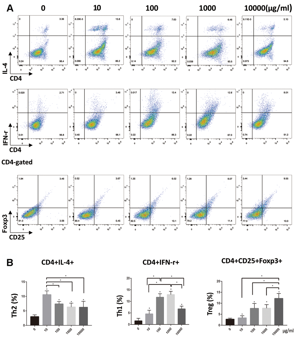 OVA-treated DCs stimulated T-cells to differentiate into Th1, Th2 and Treg cell lines. (A, B). Naïve CD4+ T cells were isolated using MACS from mouse systemic lymph nodes and were co-cultured for 72 h with DCs pretreated with different doses of OVA. Data indicate the mean±SD, n = 4. Percentage T cells is tested by flow cytometry. *p*(P