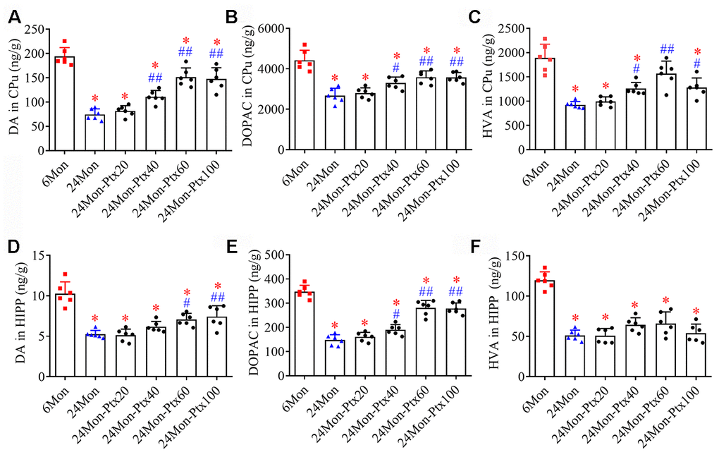 Effects of PTX treatment on dopamine and its metabolites in the aged rat brain. (A–C) Effects of PTX treatment on DA, DOPAC, and HVA in the CPu of aged rats. (D–F) Effects of PTX treatment on DA, DOPAC, and HVA in the HIPP of aged rats. Data are expressed as the mean ± S.D. (n=6 rats/group). *P#P##P