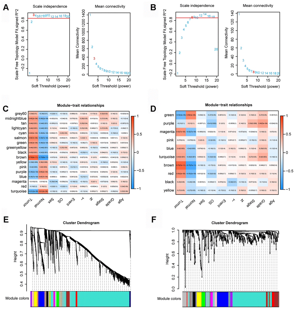 development-and-validation-of-a-novel-prognostic-signature-in-gastric