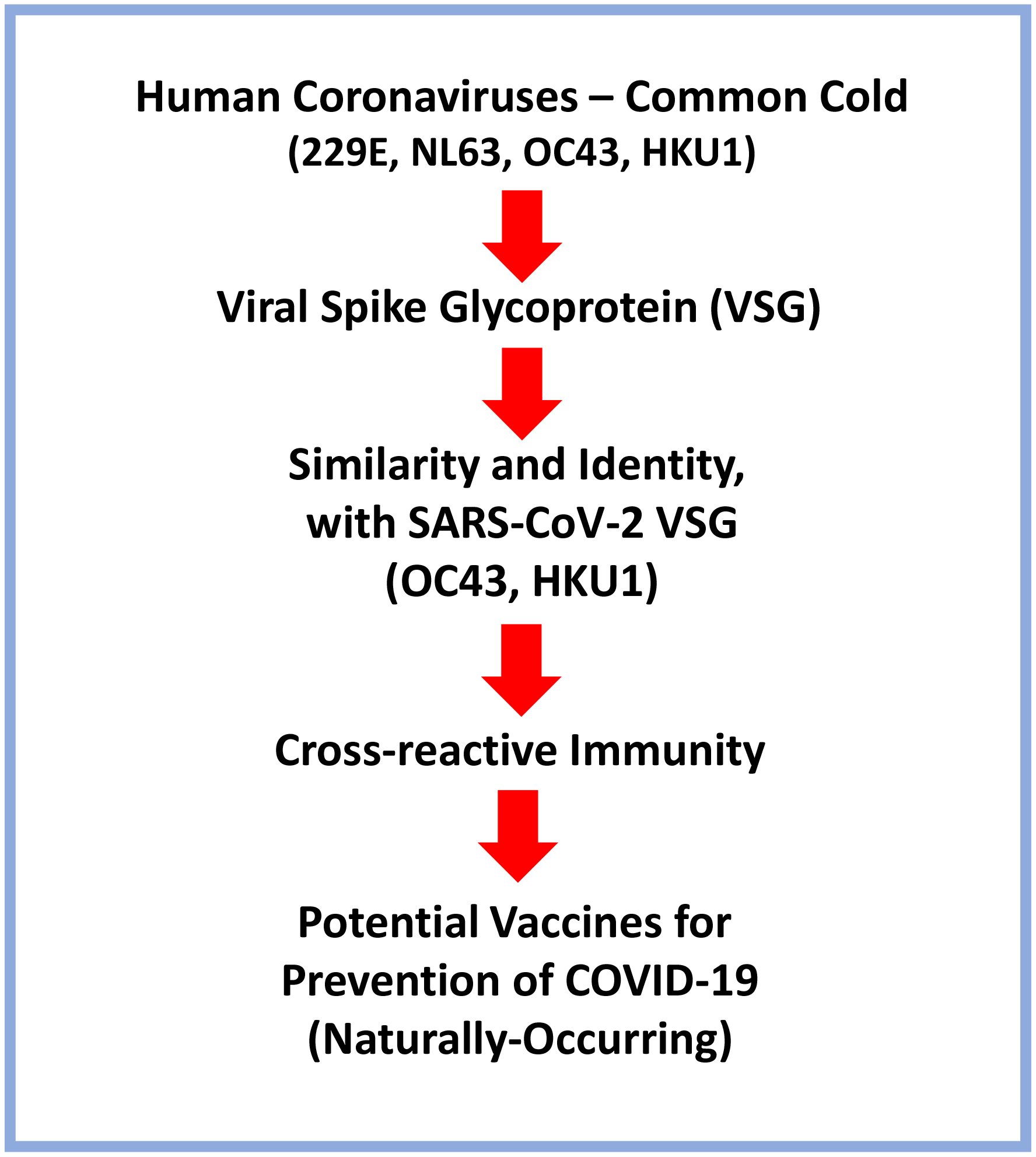 common cold virus