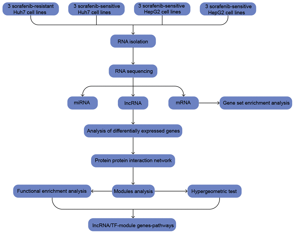 The workflow of the present study.