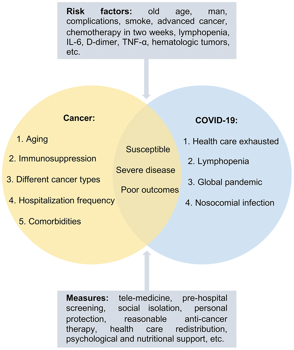 The characteristics of cancer patients with COVID-19. Cancer patients with risk factors were more susceptible to COVID-19, more likely to develop the severe form of the disease as well as develop poor outcomes due to aging, immunosuppression, and comorbidities. Management strategies including tele-medicine, pre-hospital screening, social isolation, personal protection, and so on were proposed to protect the susceptible population.