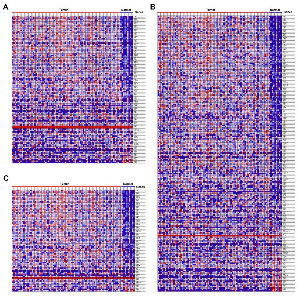 Heatmap of 378 core genes between EAC and normal tissues. (A) GO glycolytic process gene set, (B) Hallmark glycolysis gene set, (C) Reactome glycolysis gene set.