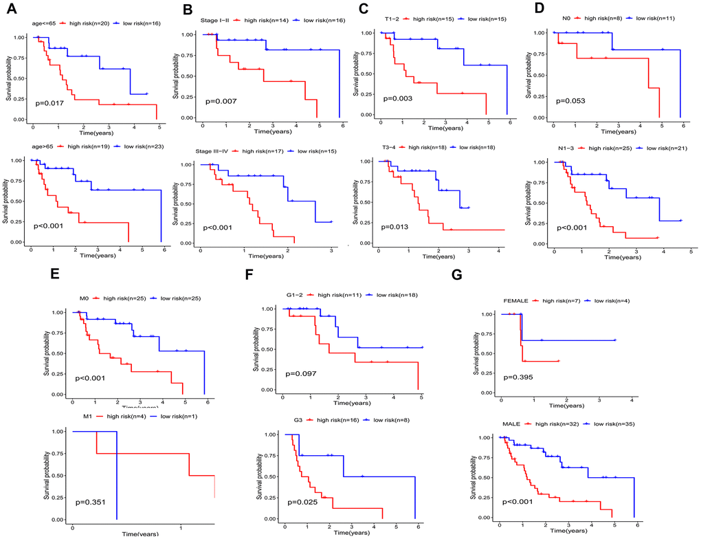 Kaplan–Meier curves for prognostic value of risk-score signature for the patients divided by each clinical characteristic. (A) age, (B) UICC stage, (C) T classification. (D) N classification, (E) M classification, (F) Grade, (G) gender.