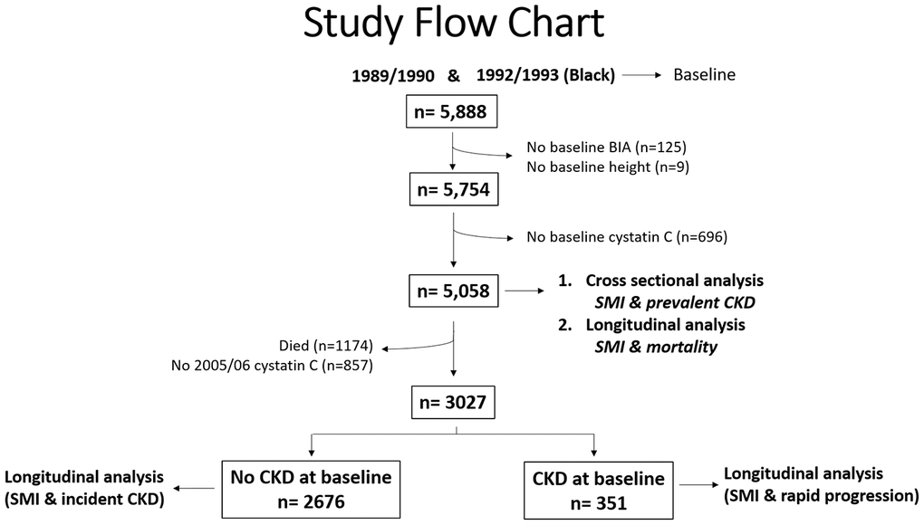 Study Flow Chart.