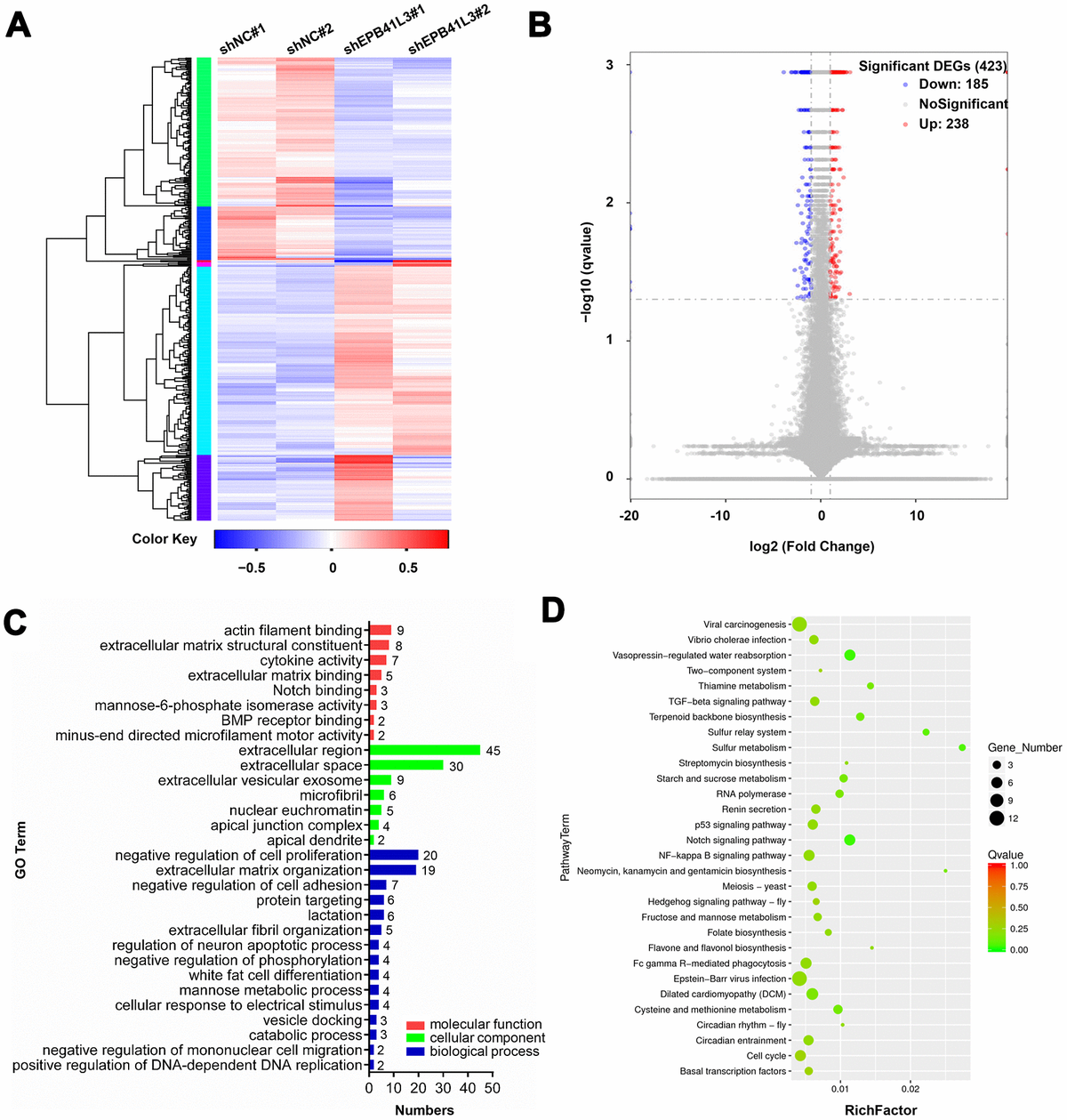 Erythrocyte Membrane Protein Band 4 1 Like 3 Inhibits Osteosarcoma Cell