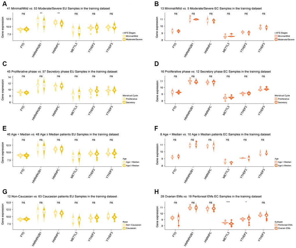 Clinical correlation analysis of selected m6A regulators in EMs. (A) HNRNPC and HNRNPA2B1 showed differential expression in different r-AFS stages in EU samples. However, no m6A regulators showed any significant changes across different r-AFS stages in EC samples (B), in different stages of the menstrual cycle, in different age groups for both EU and EC samples (C–F), and different races for the EU samples (G). Moreover, METTL3 and YTHDF2 were differentially expressed in different subtypes of EM in EC samples (H). ‘Wilcox.test’ was used for comparison between two groups. EMs, endometriosis; r-AFS, the revised American Fertility Society; NM, normal endometrium; EU, eutopic endometrium; EC, ectopic endometrium. NS - not significant; * p 
