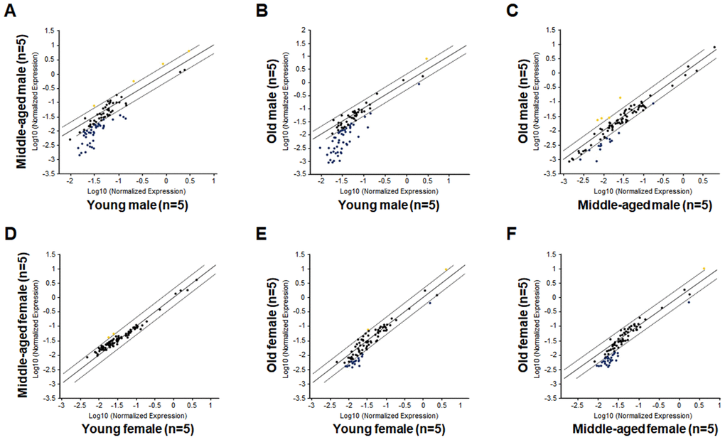 Comparisons of relative hematopoietic gene expression in BM-derived LSK cells among young, middle-aged and old mice of both male and female mice. (A) Comparison between middle-aged male and young male mice. (B) Comparison between old male and young male mice. (C) Comparison between old male and middle-aged male mice. (D) Comparison between middle-aged female and young female mice. (E) Comparison between old female and young female mice. (F) Comparison between old female and middle-aged female mice. Yellow dots indicate genes with potentially higher level of expression in mice of y-axis than that in mice of x-axis; black dots indicate genes with comparable level of expression; blue dots indicate genes with potentially lower level of expression in mice of y-axis than that in mice of x-axis.