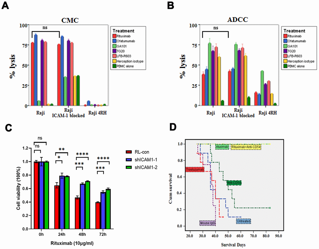 Impacts of neutralization of ICAM-1 in vitro and in vivo. (A, B) Neutralization of ICAM-1 did not affect rituximab and other anti-CD20 antibodies mediated CMC and ADCC in rituximab sensitive cell lines. (C) MTT assay showed that downregulation of ICAM-1 could cause resistance of rituximab. (D) Kaplan-Meier analyses showing the survival curves of neutralization of ICAM-1 alone and in combination with rituximab in vivo. (*PP P P 