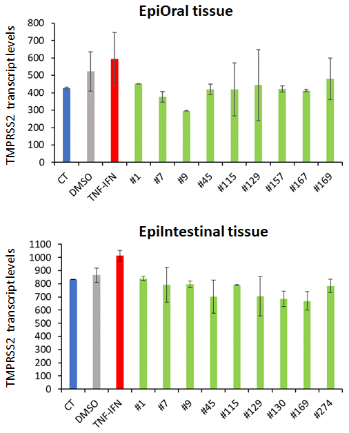 Effects of novel C. sativa extracts on the levels of TMPRSS2 gene expression in the EpiOral and EpiIntestinal tissue models. Each bar is an average (with SD) of two samples, as per Materials and Methods. The Y axis shows the arbitrary units of TMPRSS2 gene expression, while the X axis shows the samples.