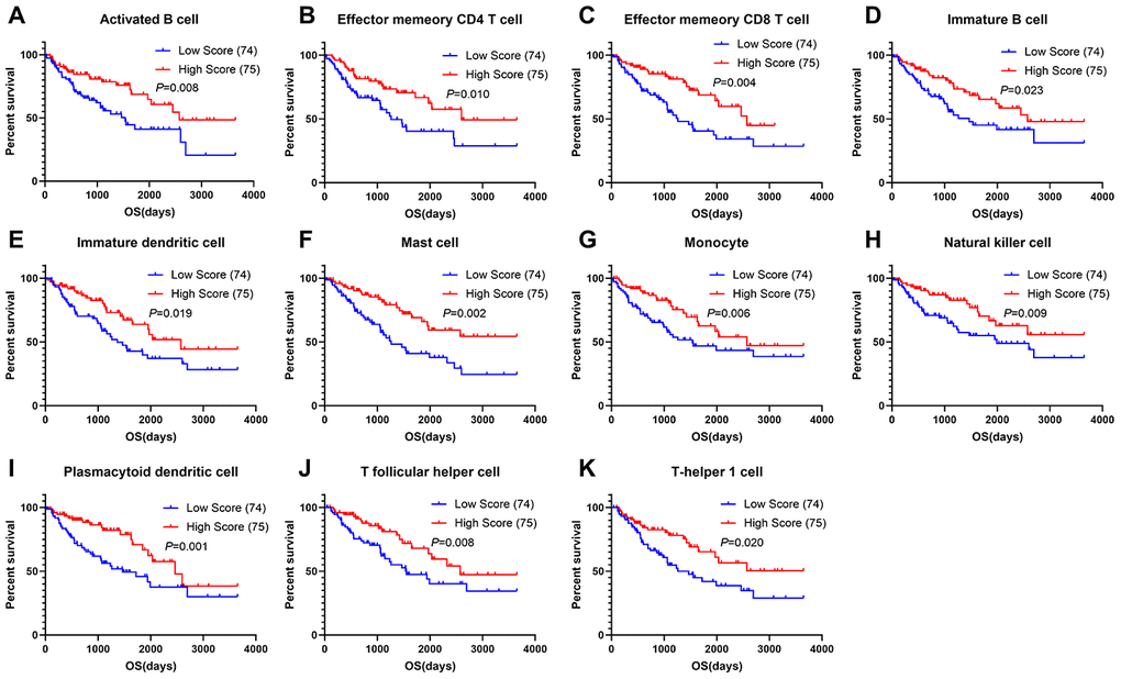 Correlations of immune cell scores and overall survival in sarcoma. (A–K) Infiltrating immune cells significantly associated with improved prognosis. The high- and low-score groups were divided based on the top 30% and the bottom 30% infiltrating scores calculated by ssGSEA algorithm, respectively)
