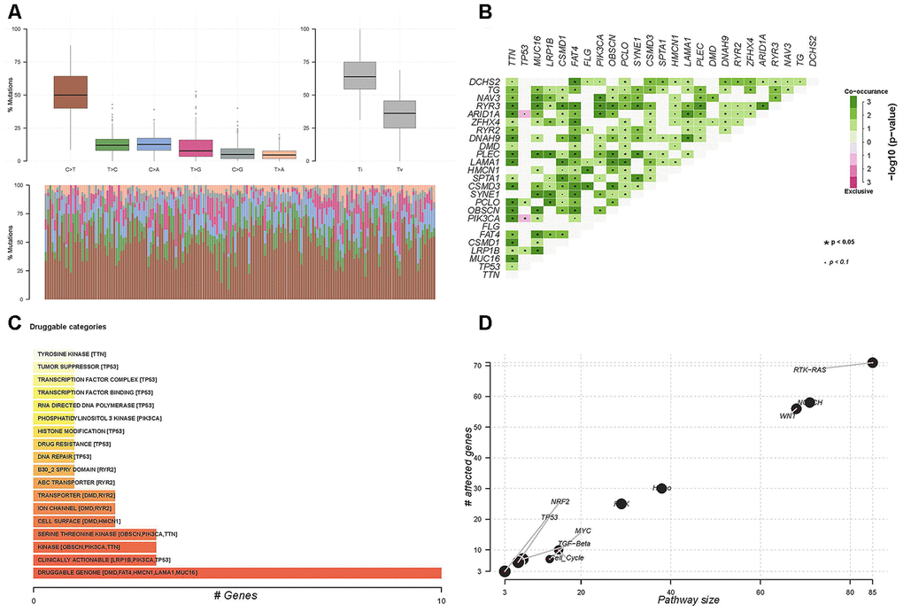 Somatic mutations in 171 patients treated by surgery and adjuvant chemotherapy. (A) Co-occurring and exclusive genes in mutation profiles. (B) Potential druggable gene categories and top five involved genes. (C) Enrichment of known oncogenic signaling pathways in patients with gastric cancer (D).