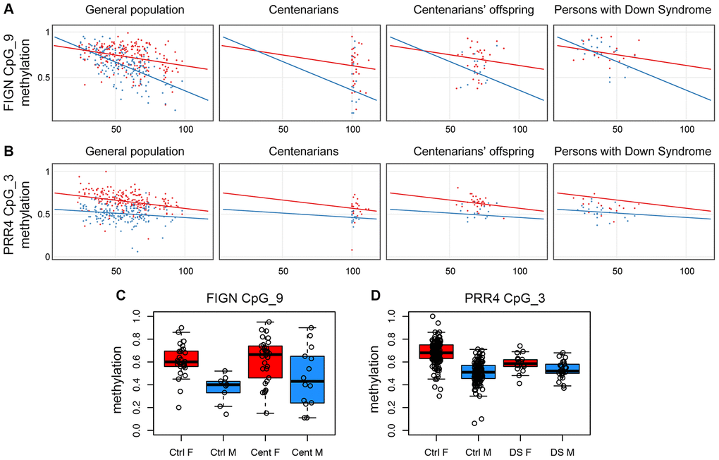 Validation of FIGN and PRR4 loci by EpiTYPER. (A) Methylation of CpG unit 9 in FIGN amplicon vs age. (B) Methylation of CpG unit 3 in PRR4 amplicon vs age. (A and B) For each CpG unit, DNA methylation in controls (general population), centenarians, centenarian's offspring and persons with Down syndrome is reported vs the age of the subjects. Males are in blue, females are in red. Linear regression between DNA methylation and age was calculated separately for males and females in control subjects and was reported in each plot. (C) Boxplots of DNA methylation of CpG unit 9 in FIGN amplicon in aged controls and centenarians. (D) Boxplots of DNA methylation of CpG unit 3 in PRR4 amplicon in healthy controls and persons with Down syndrome.