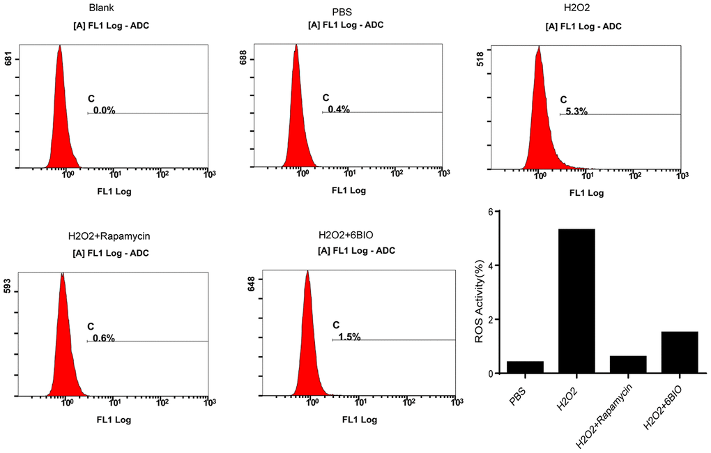 The measurement of ROS generation in H9C2 cells.