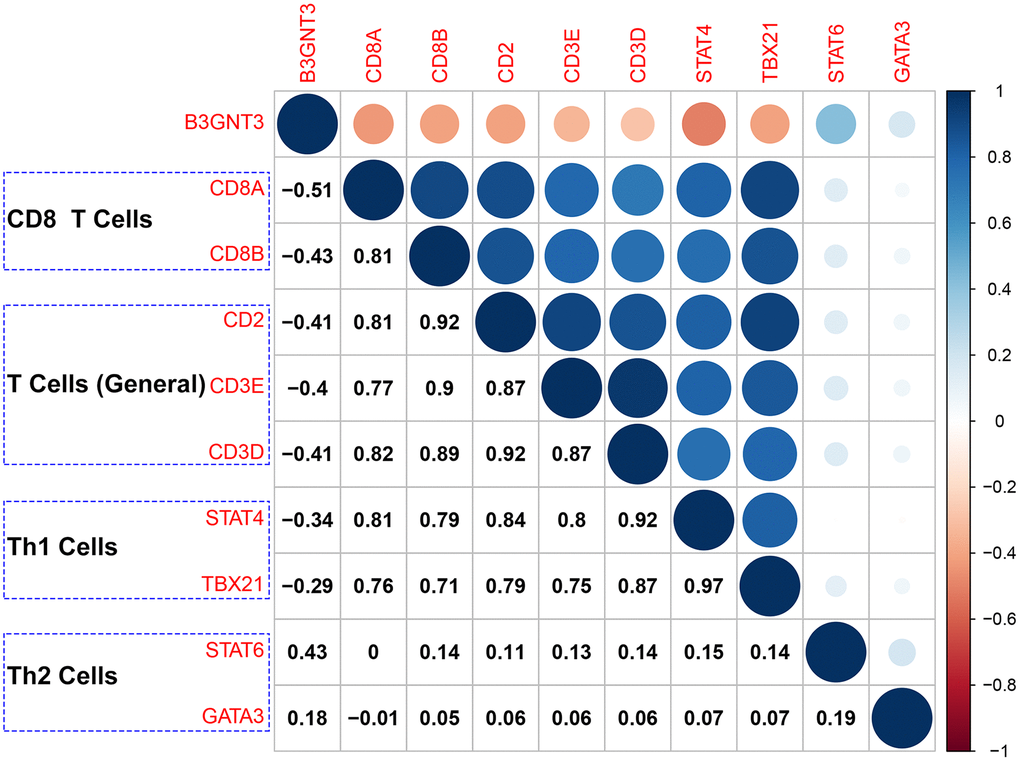 Correlation analysis of B3GNT3 expression and the expression of marker genes of CD8+ T cells (CD8A and CD8B), T cells (general) (CD2, CD3D, and CD3E), Th1 cells (STAT4 and TBX21), and Th2 cells (STAT6 and GATA3). Th1 cells: Type-1 T helper cells; Th2 cells: Type-2 T helper cells.