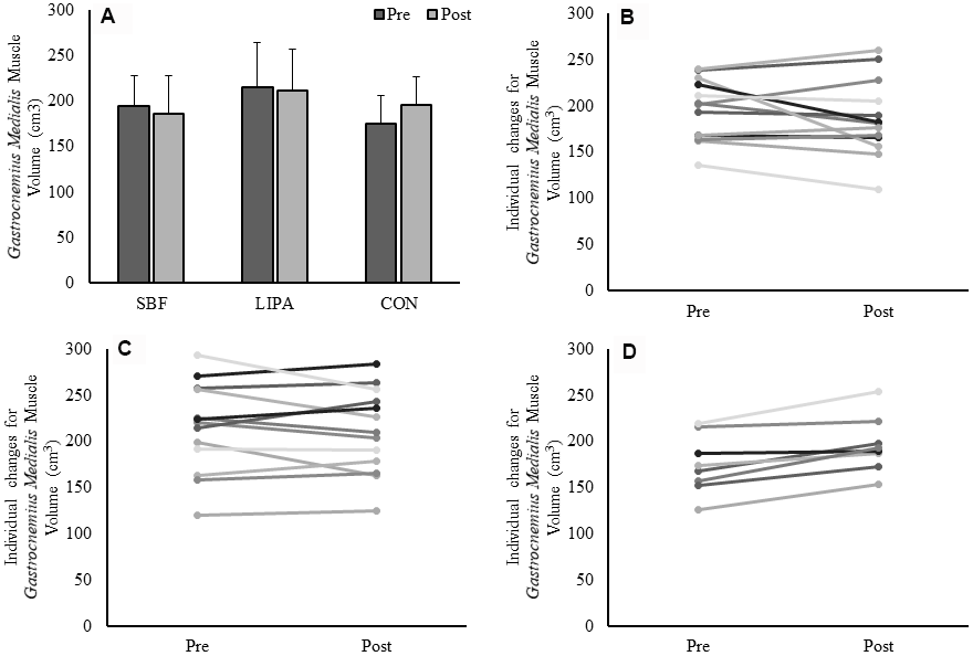 Changes in GM muscle volume from baseline to post-intervention. Panel (A) Group-dependent GM muscle volume (Mean ± SD) at pre (week 0) and post intervention (week 8). There was a significant group×time interaction (p = 0.014) for GM volume. Panels (B–D) represent individual participants changes from baseline to post-intervention, for the SBF, LIPA, and control groups, respectively.
