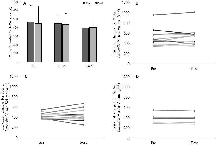 Changes in VL muscle volume from baseline to post-intervention. Panels (A) Group-dependent VL muscle volume (Mean ± SD) at pre (week 0) and post intervention (week 8). Panels (B–D) individual participant changes from baseline to post-intervention for the SBF, LIPA, and control groups respectively.